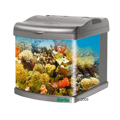 Aquarium Kits on Aquarium Kits Aquarium Pour Debutants Description Un Aquarium Qui