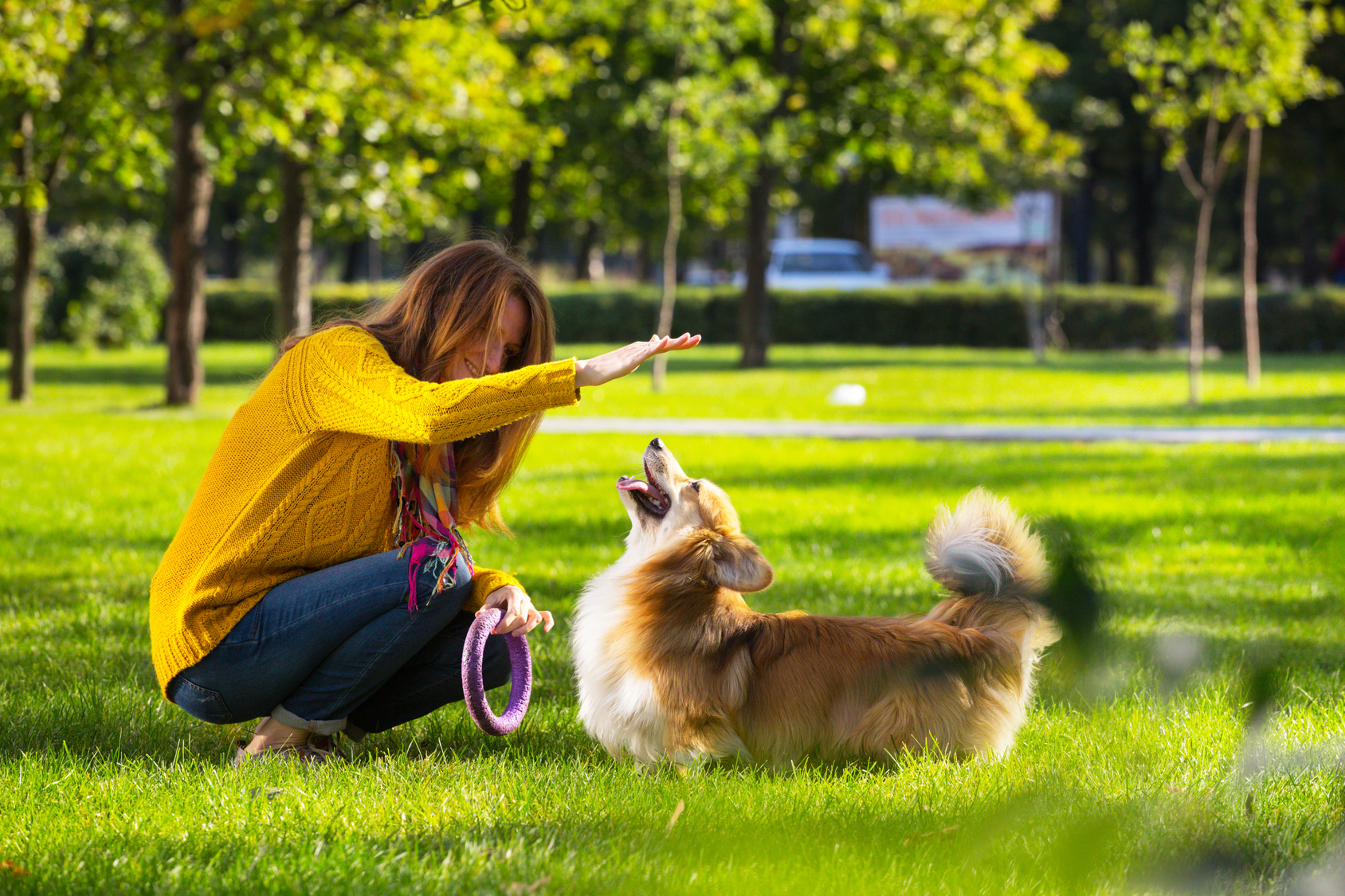 Jouer Avec Son Chien Jeux Et Astuces Magazine Zooplus