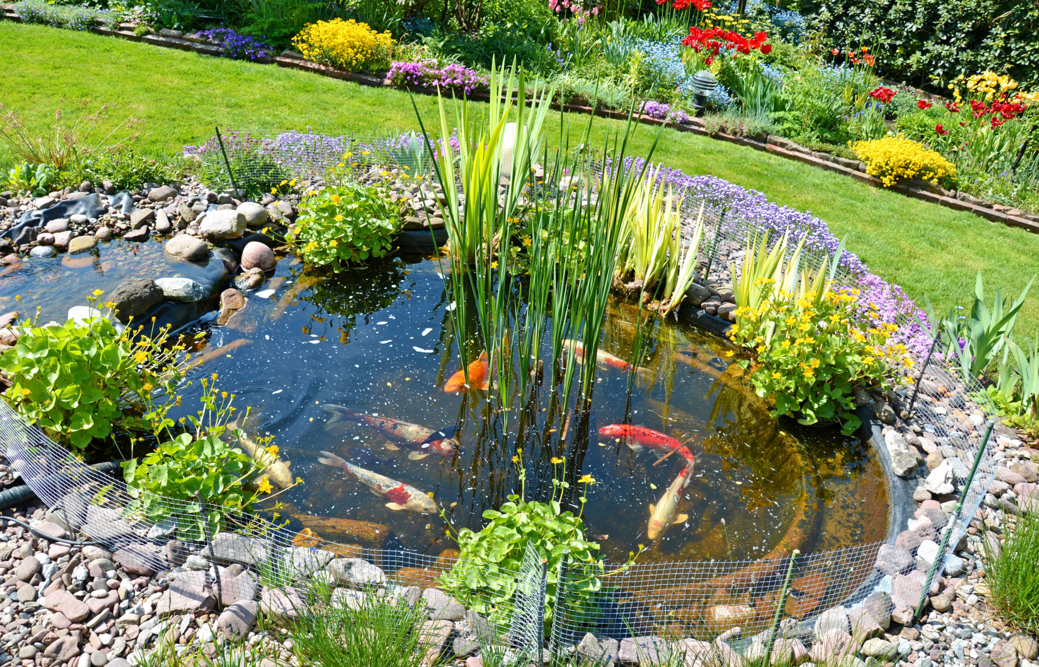 Bâche pour bassin de jardin : conseils installation