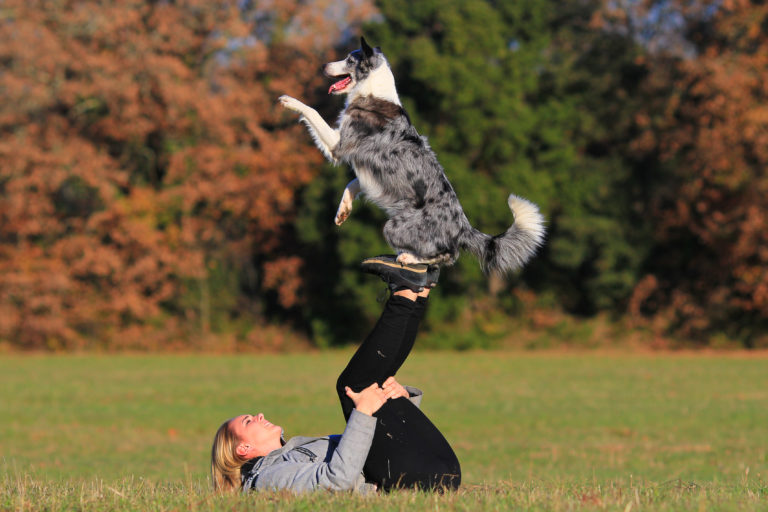 L'agility pour chien : un sport canin ludique - Magazine zooplus