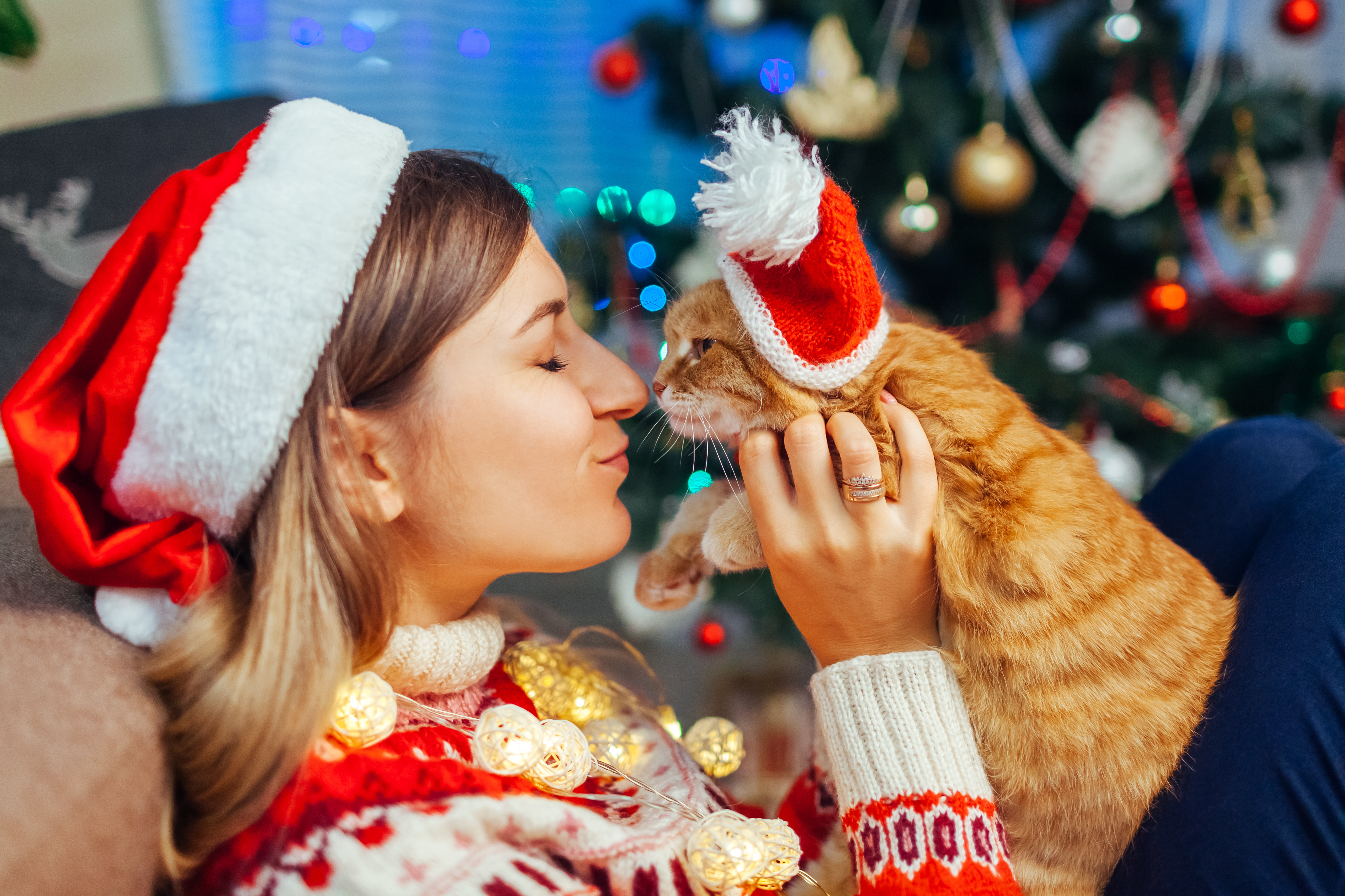 Quel cadeau de Noël pour chat ? (version 2021)