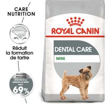 Tartre et plaque dentaire chez le chien : que faire ?  Magazine 