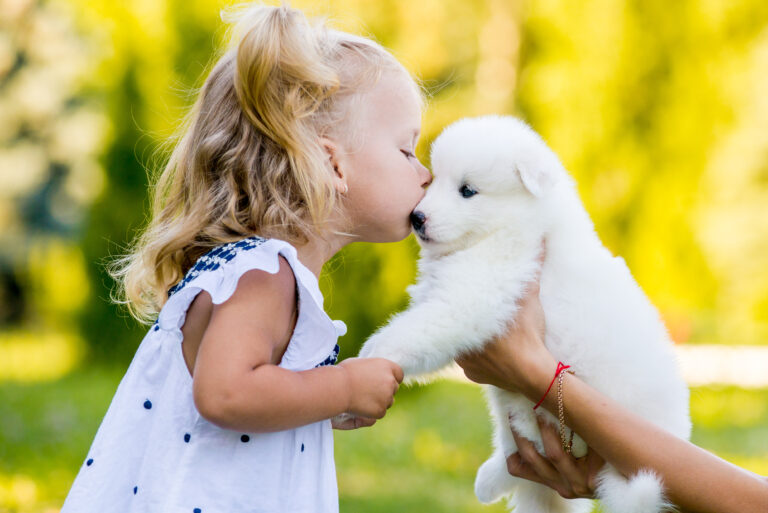 Un enfant fait un bisou sur le museau de son chien