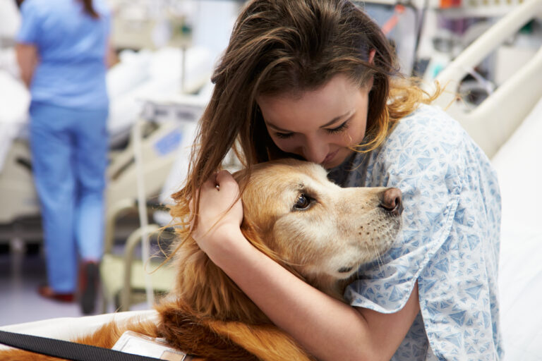 Un chien de thérapie avec une patiente d'hôpital