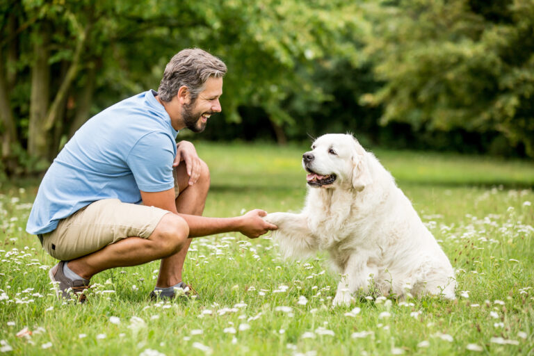 Un éducateur canin éduque un chien