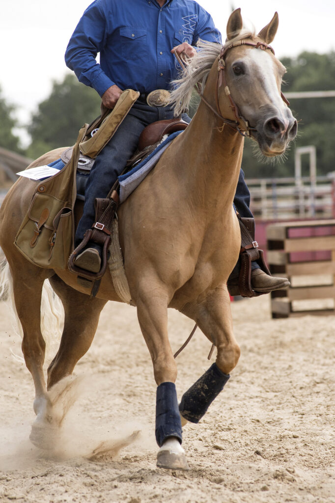 équitation western vs équitation anglaise