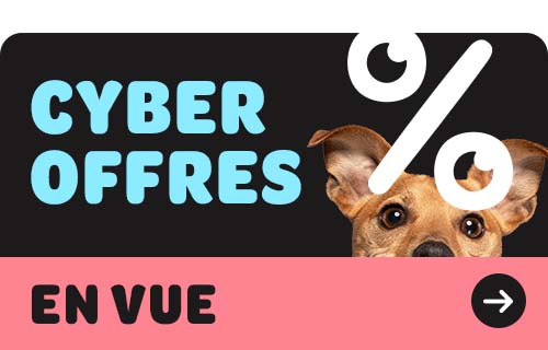 cyber banner promotions