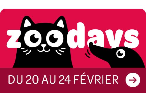 zoodays du 20 au 24 février